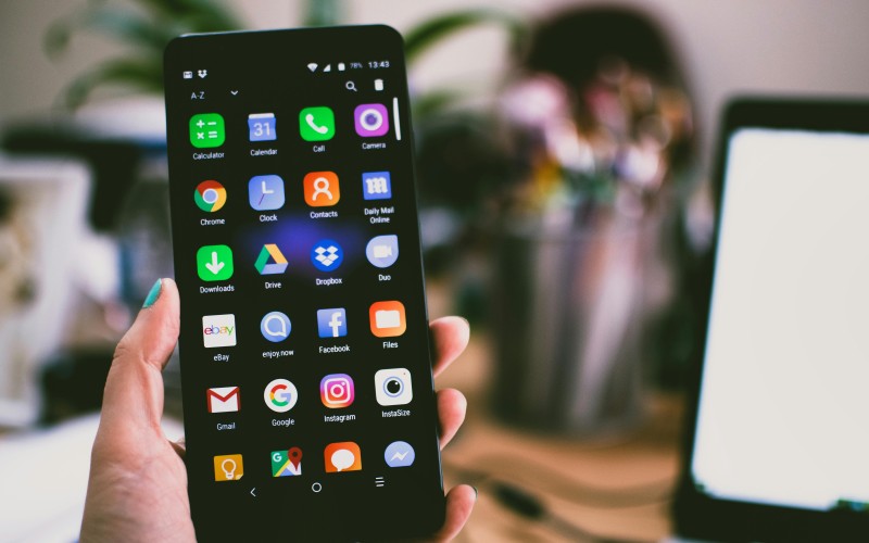 Web & Mobile App Development